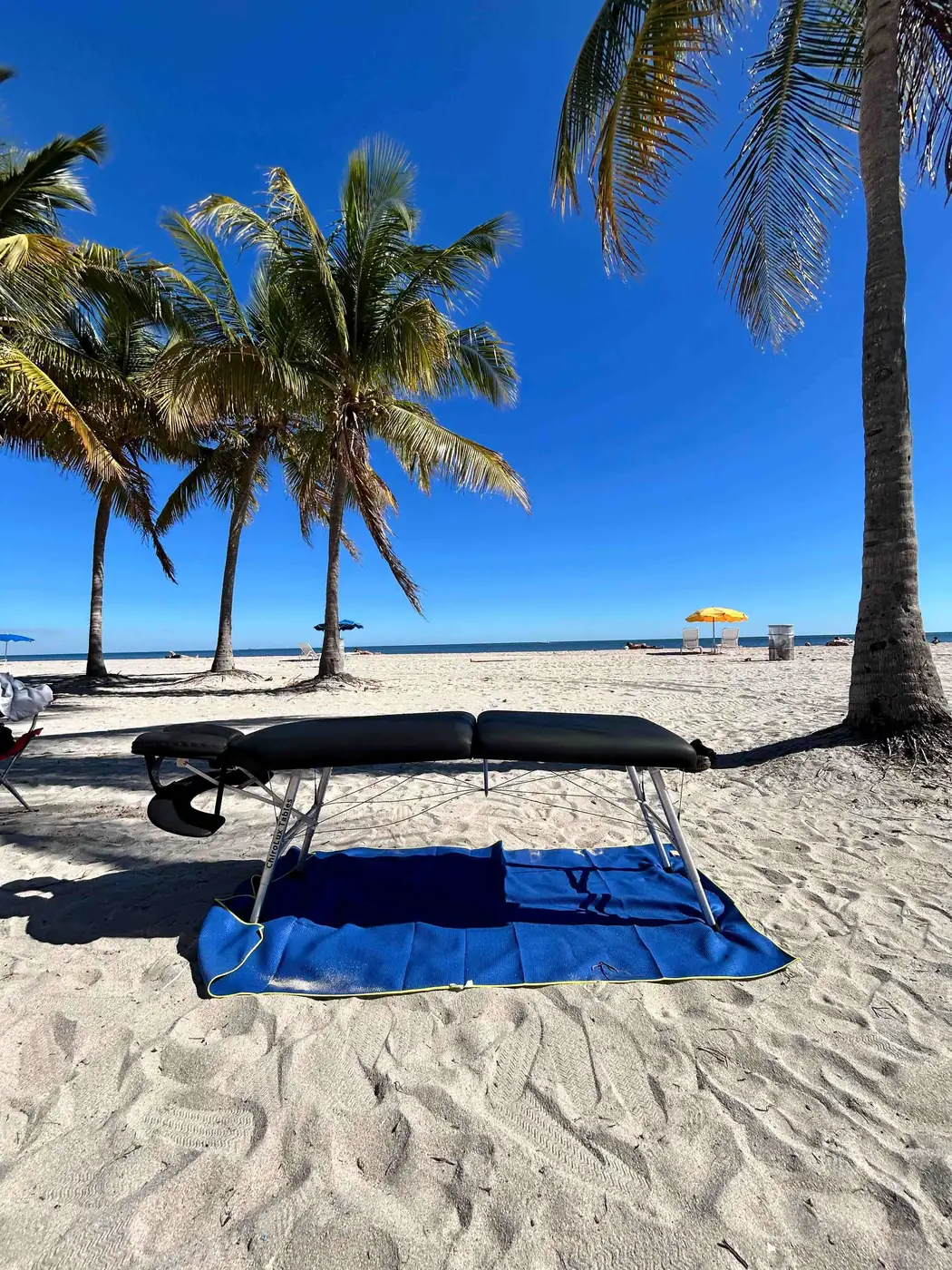 A portable chiropractic table set up on the sand beneath palm trees in South Florida